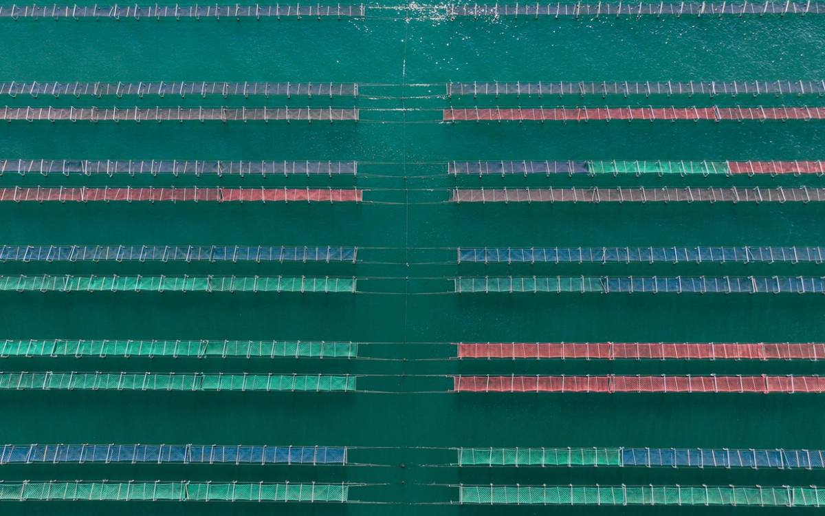 海面に整列する海苔網